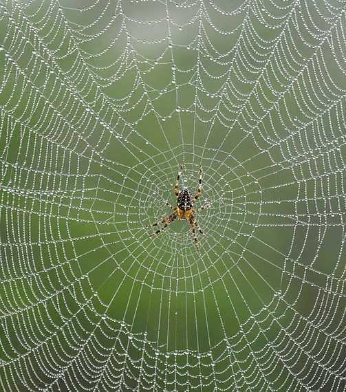 אם תרצה לשאול על משהו נוסף, אני כאן!