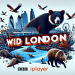 המדריך להקרנת Wild London ב-BBC iPlayer – זה חינמי!