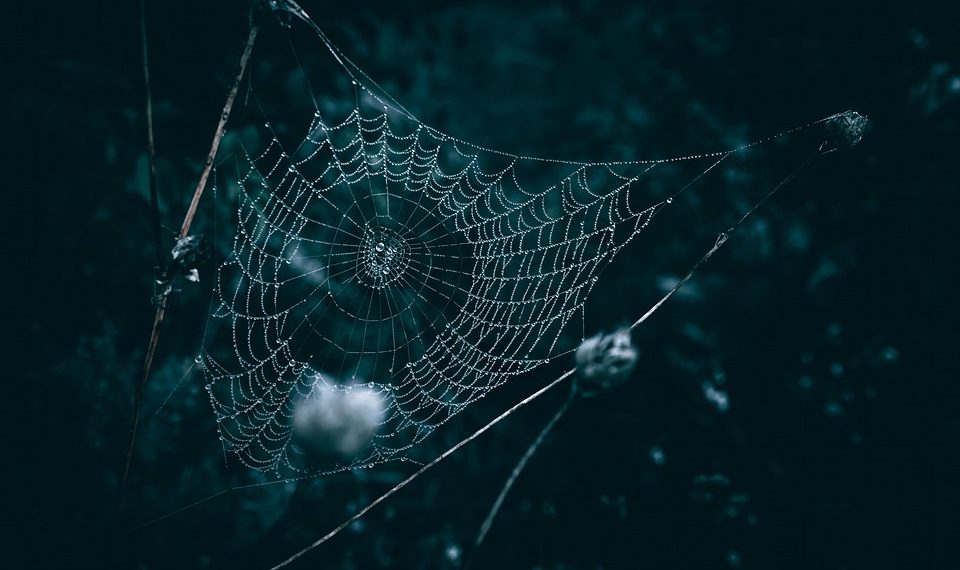 GreenGeeks לעומת אירוח מסורתי: הוכחה לפתרונות אינטרנט ברי קיימא