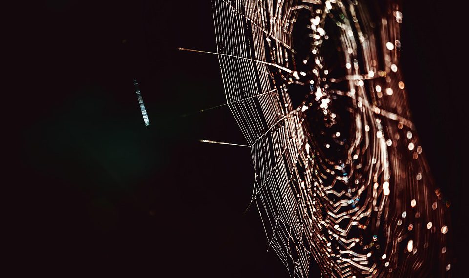 האם DreamHost שווה את זה? צלילה עמוקה לתוך ביקורות ודירוגי משתמשים