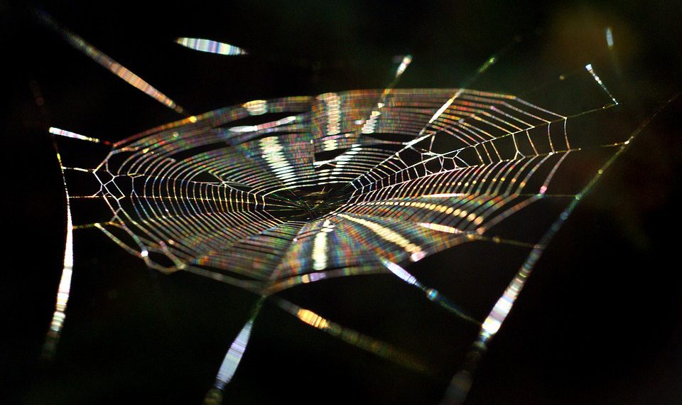 בחינת תכונות האבטחה של HostGator: שמירה על בטיחות האתר שלך