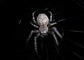 אל תהסס להתאים כל אחת מההצעות האלה כדי להתאים טוב יותר לצרכים שלך!