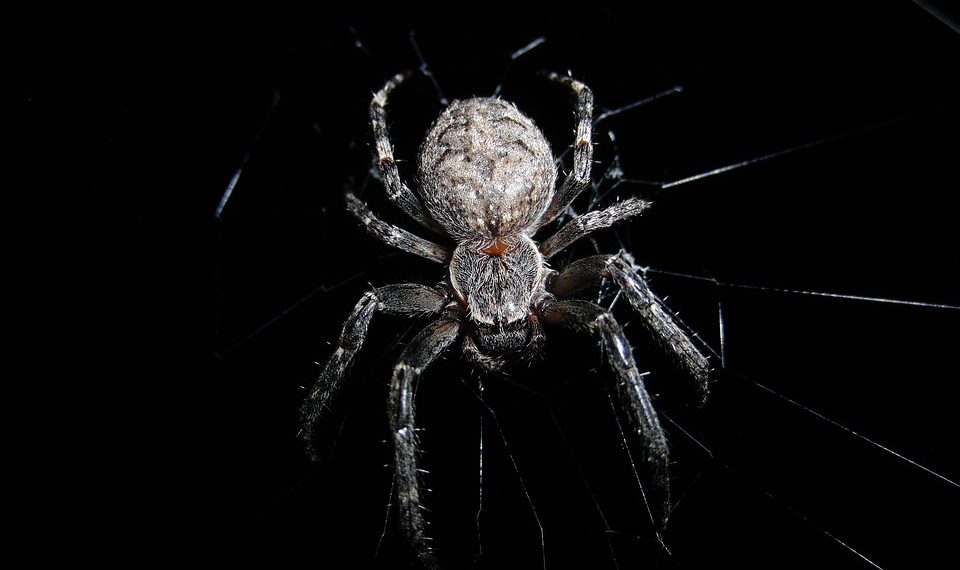 אל תהסס להתאים כל אחת מההצעות האלה כדי להתאים טוב יותר לצרכים שלך!