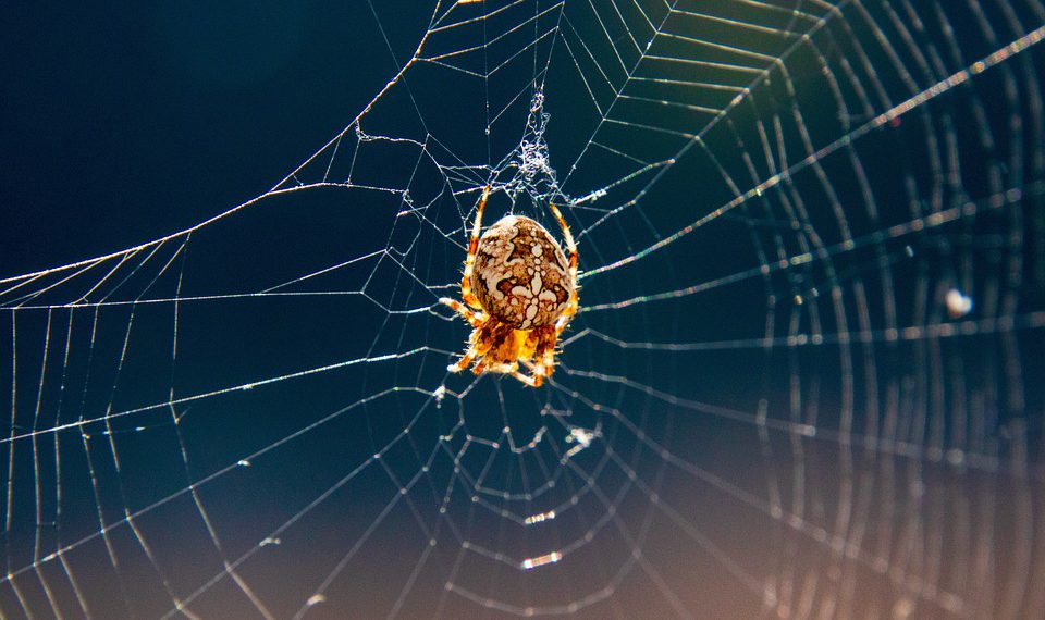 מעבר ליסודות: טכניקות מתקדמות עם אירוח A2