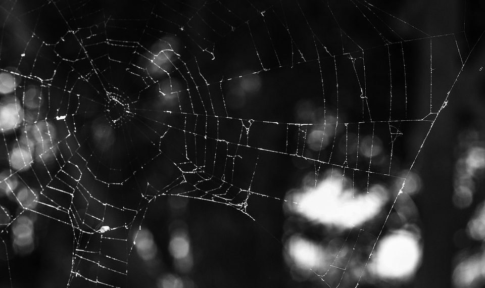 מעבר ל-InterServer: מעבר חלק עבור העסק המקוון שלך