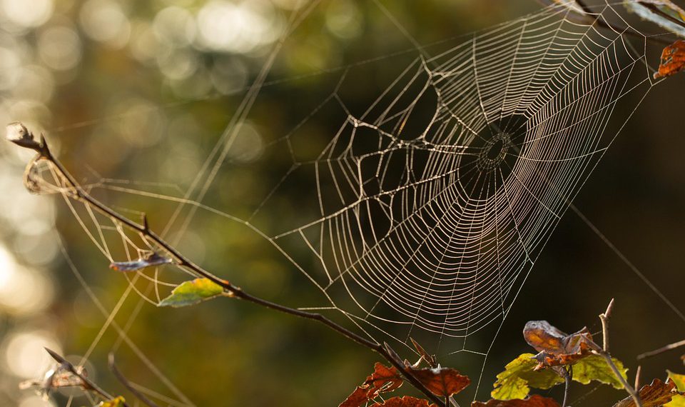 אבטחה ראשית: כיצד Cloudways מגן על האתר שלך מפני איומי סייבר