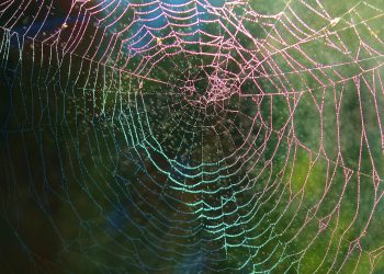 אל תהסס לערבב ולהתאים או להשתמש בהם כהשראה למאמרים שלך!