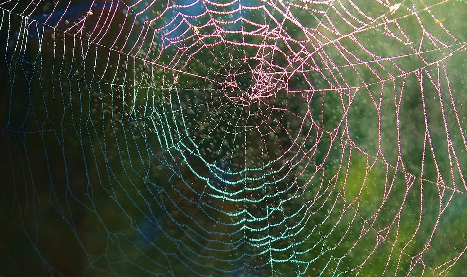 אל תהסס לערבב ולהתאים או להשתמש בהם כהשראה למאמרים שלך!