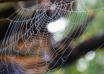 אם תרצה יותר רעיונות או כיוונים שונים, אני כאן לעזור!
