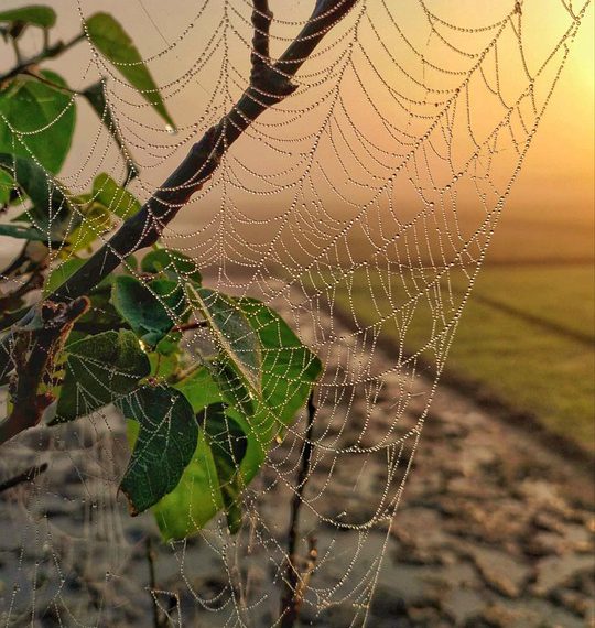 התוכניות הטובות ביותר של Bluehost לעסקים קטנים ולסטארט-אפים