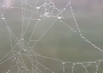 עצות מומחים למיטוב חווית האירוח שלך עם Cloudways