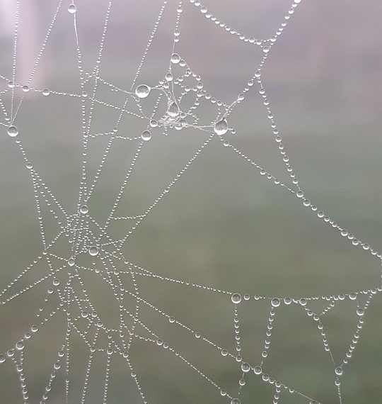 עצות מומחים למיטוב חווית האירוח שלך עם Cloudways