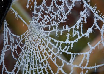 אל תהסס להתאים כל אחד מאלה כך שיתאים יותר לזווית או המיקוד של המאמר שלך!