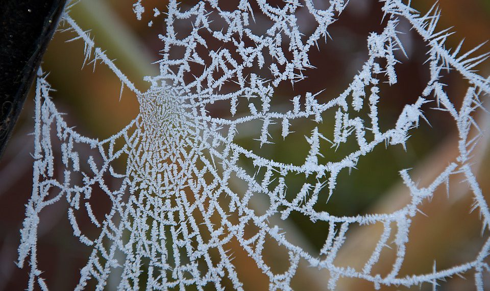 אל תהסס להתאים כל אחד מאלה כך שיתאים יותר לזווית או המיקוד של המאמר שלך!