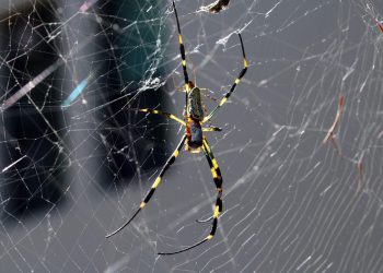 אל תהסס לשנות או להרחיב את ההצעות האלה כדי שיתאימו טוב יותר לצרכים שלך!