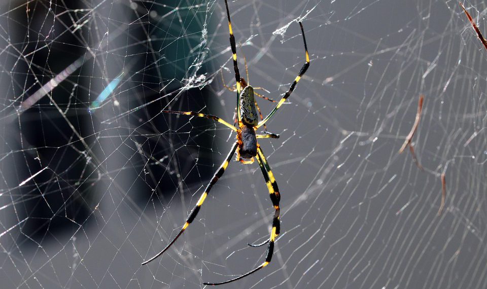 אל תהסס לשנות או להרחיב את ההצעות האלה כדי שיתאימו טוב יותר לצרכים שלך!