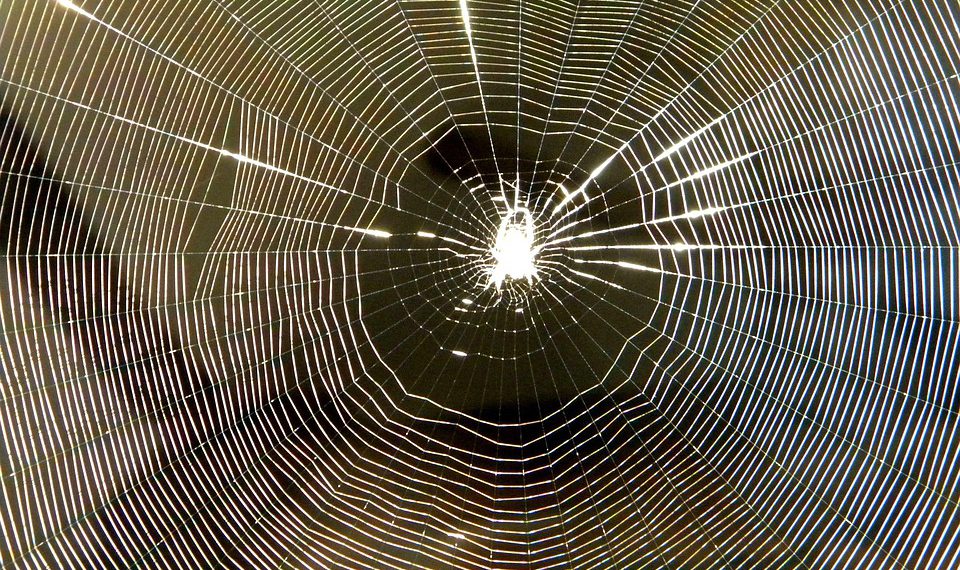 5 הסיבות המובילות לבחור ב-GreenGeeks לצרכי אירוח אתרים שלך