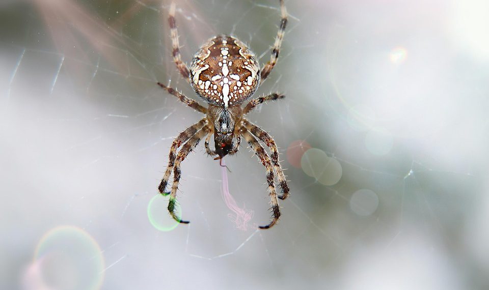 אל תהסס לשנות כל אחד מאלה כך שיתאים יותר לקהל היעד שלך או למיקוד ספציפי!
