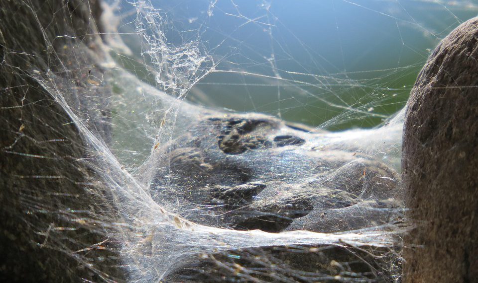 חווית משתמש חשובה: צלילה עמוקה לתוך לוח הבקרה של SiteGround