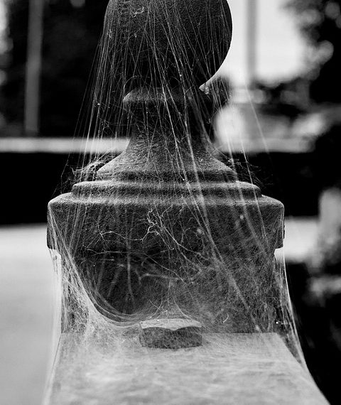 התפקיד של תמיכת לקוחות בהצלחת DreamHost: תובנות ועדויות