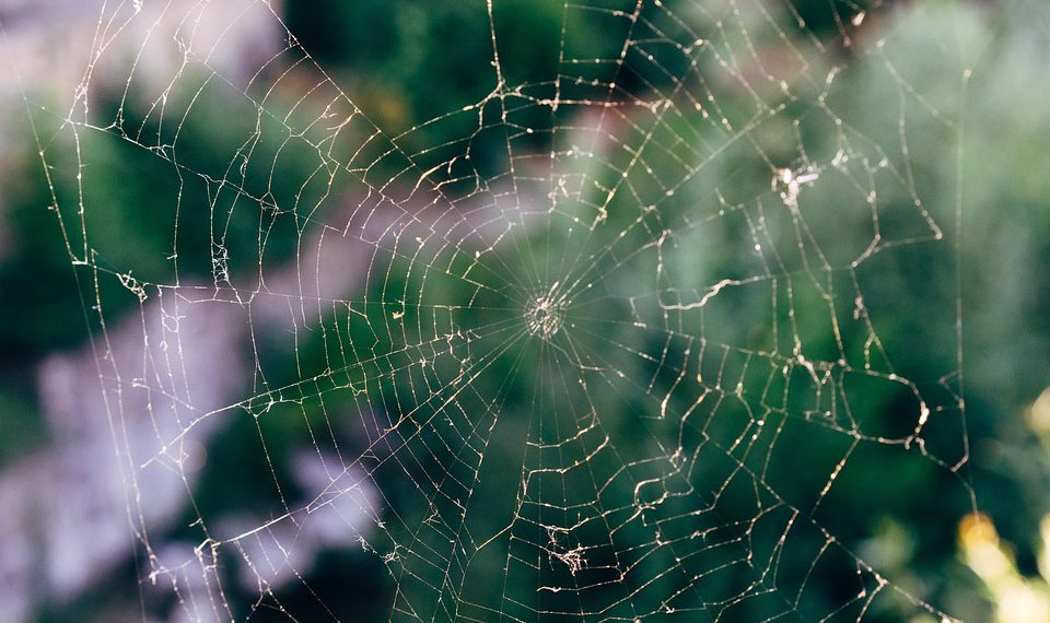 פתיחת הפוטנציאל המלא של iPage: טיפים מתקדמים למשתמשים מנוסים