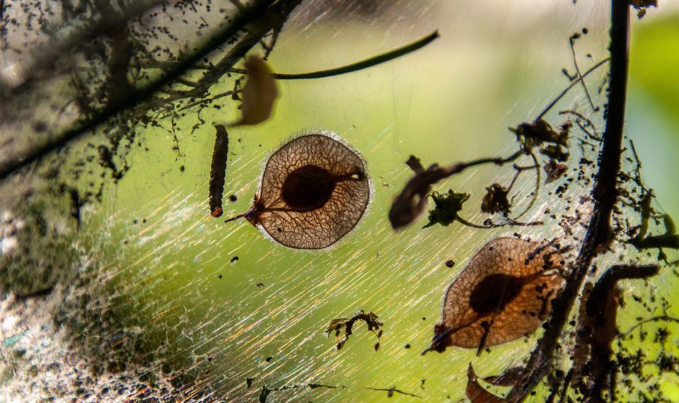 אל תהסס לשנות את ההצעות האלה כדי להתאים טוב יותר לקהל שלך או להתמקד בנושא ספציפי!